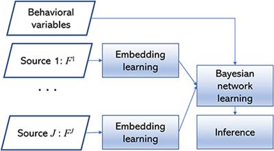 Bayesian multisource data integration for explainable brain-behavior analysis
